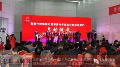 鲁泰控股集团石墨烯高分子复合材料研发中心启动仪式